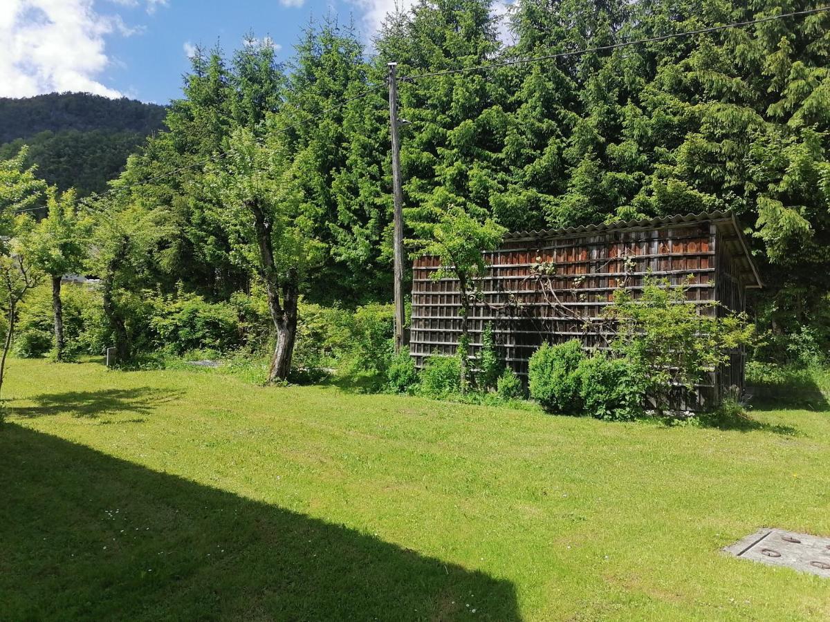 Apartment House Andrej Bohinj Exterior foto