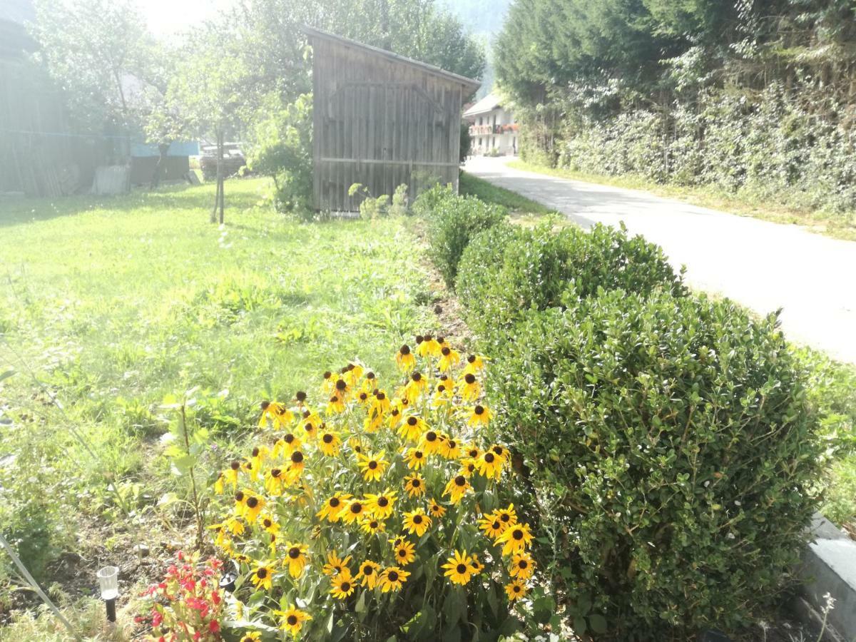 Apartment House Andrej Bohinj Exterior foto